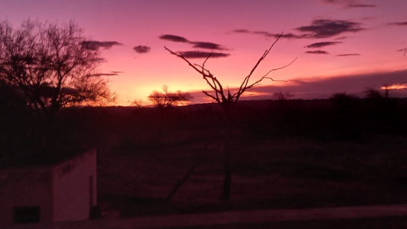 De un lugar próspero a un pueblo olvidado: la historia de Punta del Agua y la actual situación de sus pocas familias 