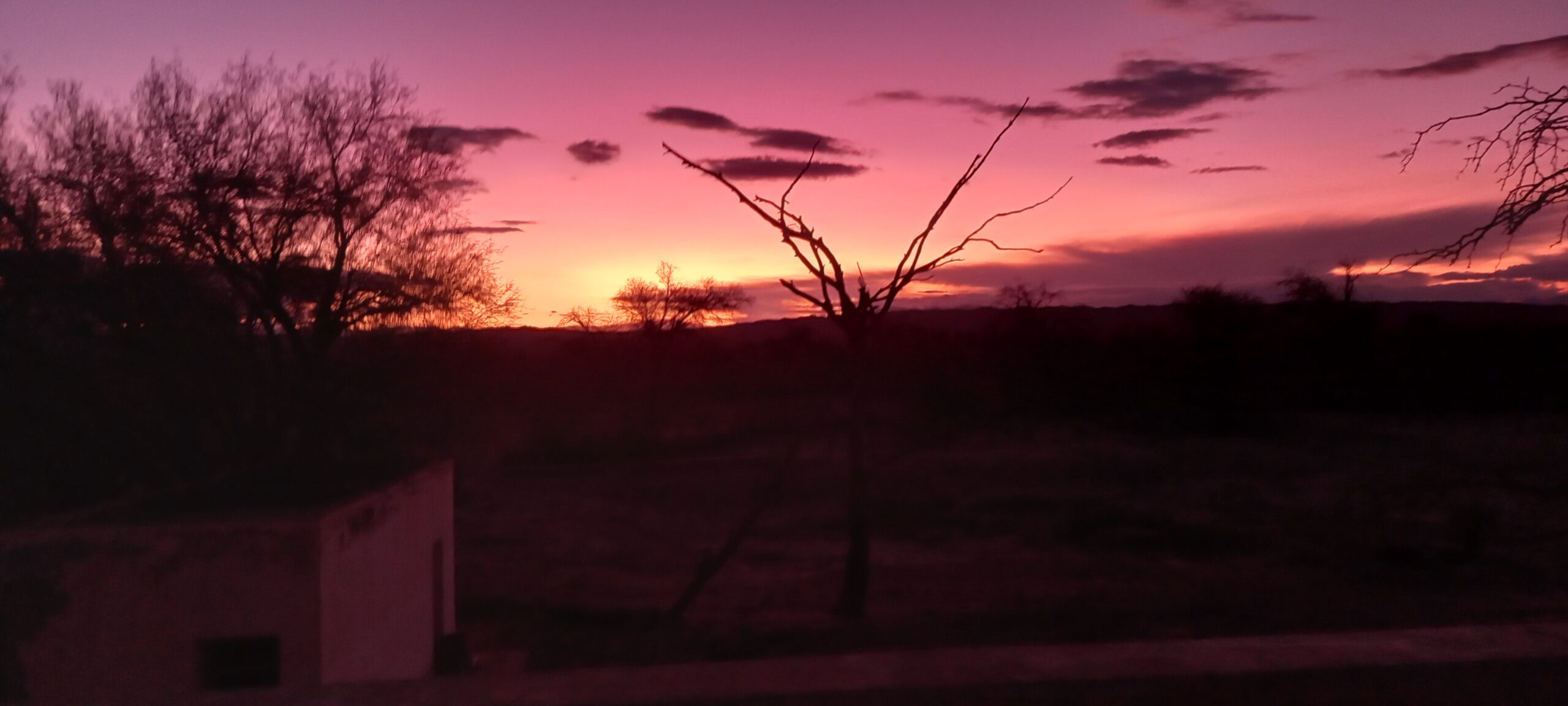 De un lugar próspero a un pueblo olvidado: la historia de Punta del Agua y la actual situación de sus pocas familias 
