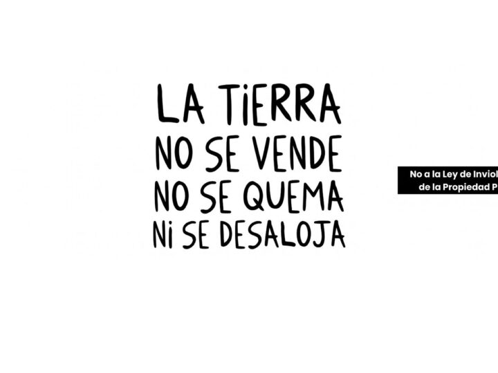 La Ley de Tierras en peligro: La Argentina con moño